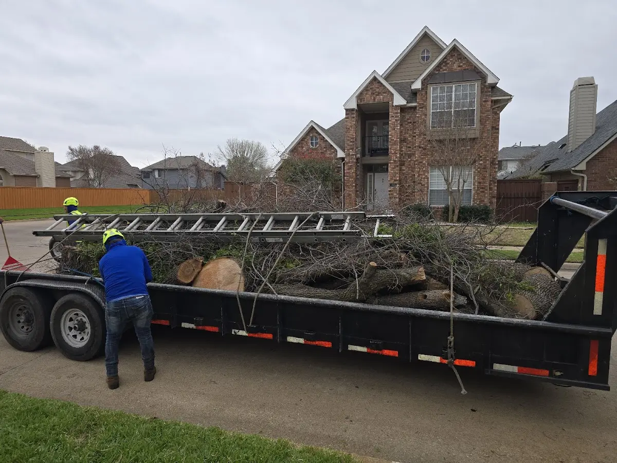 Expert Lot Clearing with proper safety equipment in Logansport